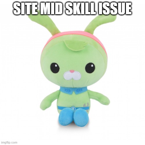 da gorl | SITE MID SKILL ISSUE | image tagged in da gorl | made w/ Imgflip meme maker