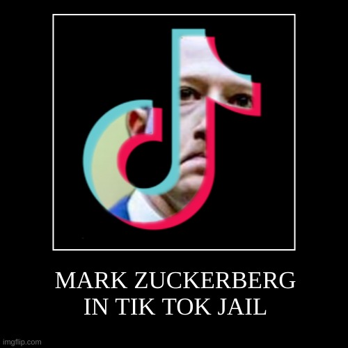 WHEN YOU VIOLATE THE REAL COMMUNITY STANDARDS | image tagged in tik tok,facebook,zuckerberg,jail,hahaha | made w/ Imgflip demotivational maker