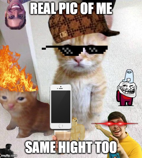 me | REAL PIC OF ME; SAME HIGHT TOO | image tagged in memes,cute cat | made w/ Imgflip meme maker