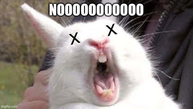 NOOOOOOOO | NOOOOOOOOOOO X       X | image tagged in noooooooo | made w/ Imgflip meme maker