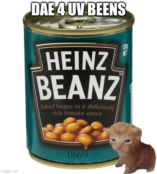 DaY - FOOR | DAE 4 UV BEENS | image tagged in can of beanz | made w/ Imgflip meme maker