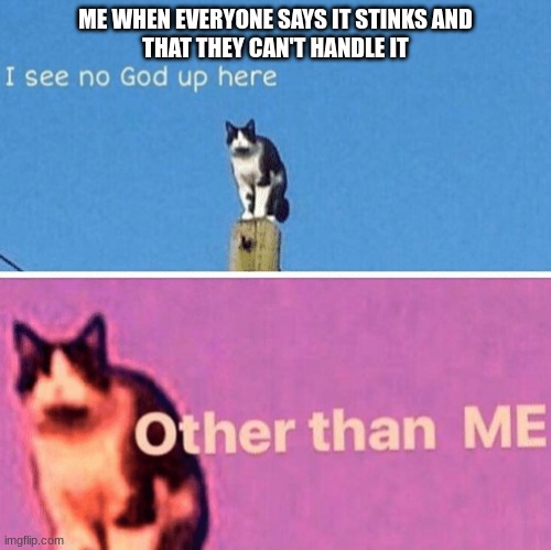 I'm immune to the effects of smell | ME WHEN EVERYONE SAYS IT STINKS AND
THAT THEY CAN'T HANDLE IT | image tagged in hail pole cat,i'm noseblind | made w/ Imgflip meme maker