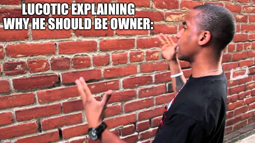 . | LUCOTIC EXPLAINING WHY HE SHOULD BE OWNER: | image tagged in talking to wall | made w/ Imgflip meme maker