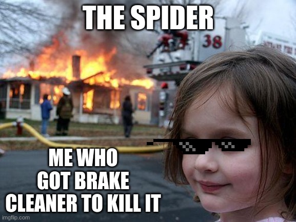 Disaster Girl Meme | THE SPIDER; ME WHO GOT BRAKE CLEANER TO KILL IT | image tagged in memes,disaster girl | made w/ Imgflip meme maker