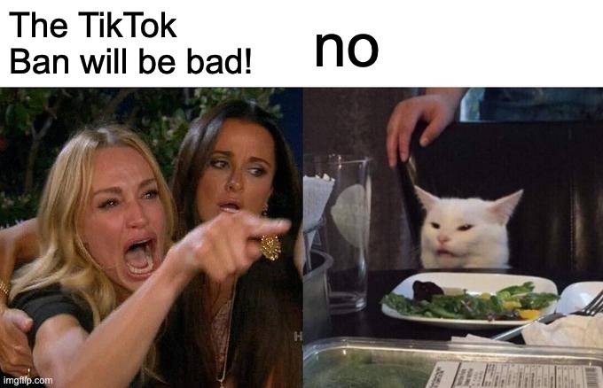 tiktok bad | The TikTok Ban will be bad! no | image tagged in memes,woman yelling at cat | made w/ Imgflip meme maker