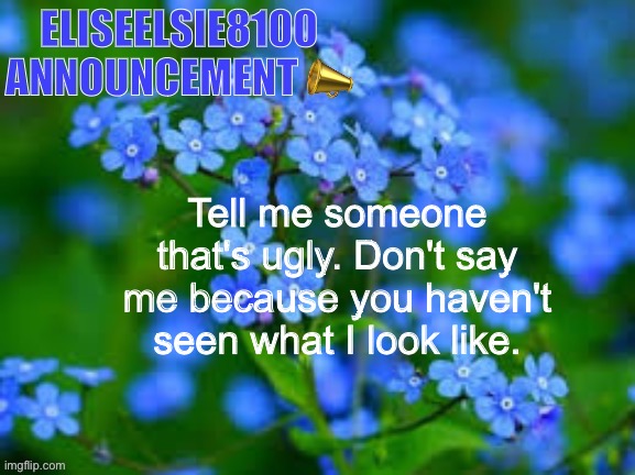 EliseElsie8100 Announcement | Tell me someone that's ugly. Don't say me because you haven't seen what I look like. | image tagged in eliseelsie8100 announcement | made w/ Imgflip meme maker