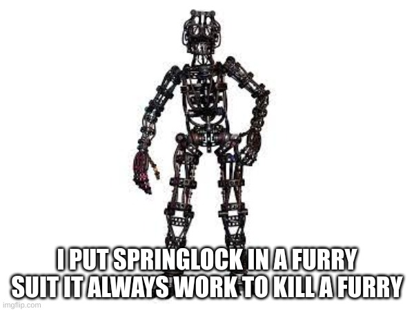 do it | I PUT SPRINGLOCK IN A FURRY SUIT IT ALWAYS WORK TO KILL A FURRY | image tagged in springlock | made w/ Imgflip meme maker