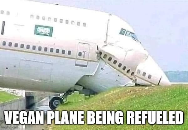 Vegan Plane Refueling | VEGAN PLANE BEING REFUELED | image tagged in humor,vegan,vegetarian | made w/ Imgflip meme maker