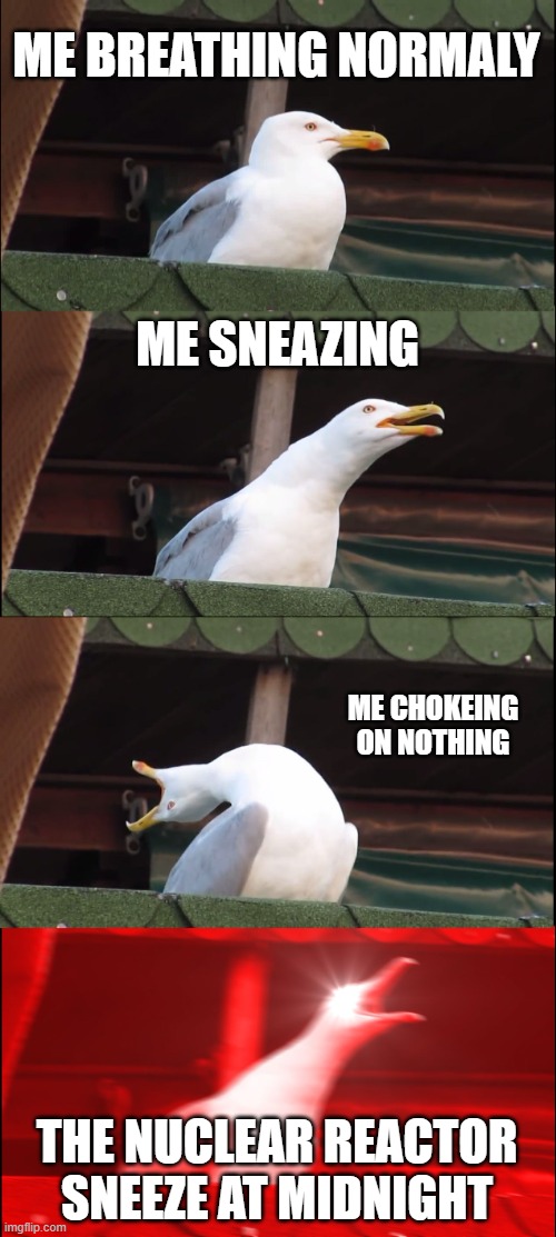 Inhaling Seagull | ME BREATHING NORMALY; ME SNEAZING; ME CHOKEING ON NOTHING; THE NUCLEAR REACTOR SNEEZE AT MIDNIGHT | image tagged in memes,inhaling seagull | made w/ Imgflip meme maker