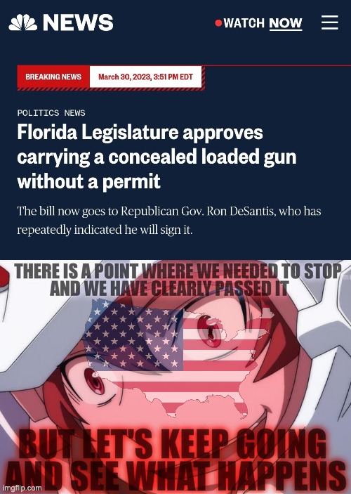 With 2,819 mass shootings in the last five years, you don't have to be anti-gun to tell this will kill so many people. | image tagged in gun control,florida,dead kids,ron desantis,2nd amendment | made w/ Imgflip meme maker