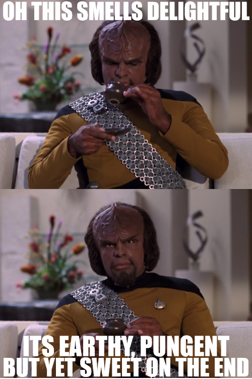 I USE TO LOVE LEMON GRASS NOW ITS ALL ABOUT WHITE TEA | OH THIS SMELLS DELIGHTFUL; ITS EARTHY, PUNGENT; BUT YET SWEET ON THE END | image tagged in worf tea,tea party | made w/ Imgflip meme maker