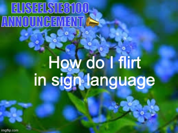 EliseElsie8100 Announcement | How do I flirt in sign language | image tagged in eliseelsie8100 announcement | made w/ Imgflip meme maker