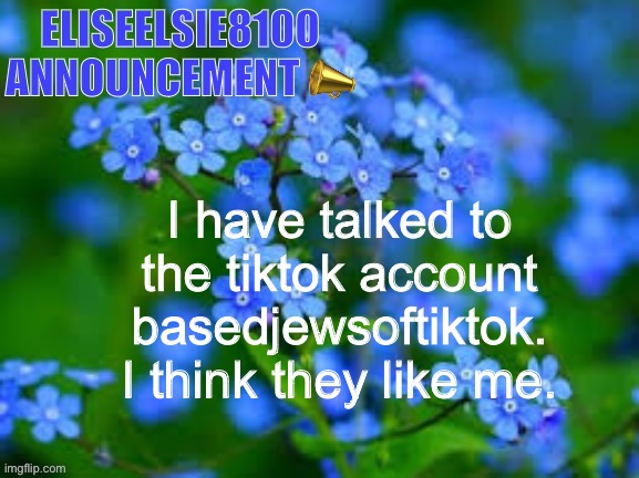 EliseElsie8100 Announcement | I have talked to the tiktok account basedjewsoftiktok. I think they like me. | image tagged in eliseelsie8100 announcement | made w/ Imgflip meme maker