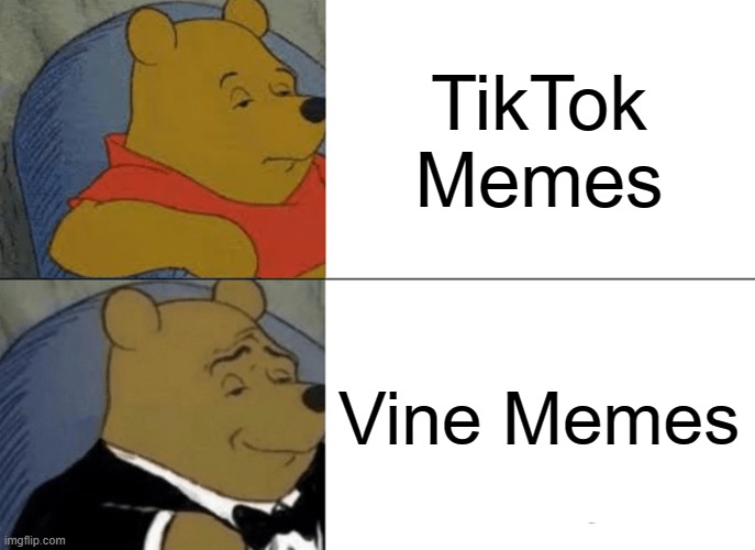 Tuxedo Winnie The Pooh | TikTok Memes; Vine Memes | image tagged in memes,tuxedo winnie the pooh | made w/ Imgflip meme maker