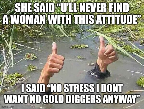 Thanx but no thanx | SHE SAID “U’LL NEVER FIND A WOMAN WITH THIS ATTITUDE”; I SAID “NO STRESS I DONT WANT NO GOLD DIGGERS ANYWAY” | image tagged in i'm fine | made w/ Imgflip meme maker