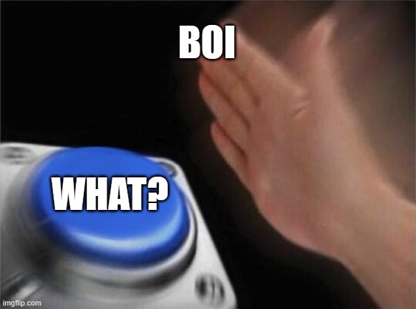 boi what? | BOI; WHAT? | image tagged in memes,blank nut button,boi,what | made w/ Imgflip meme maker