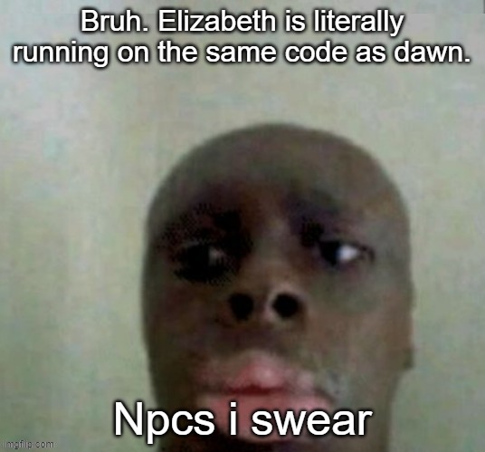 k dan | Bruh. Elizabeth is literally running on the same code as dawn. Npcs i swear | image tagged in k dan | made w/ Imgflip meme maker