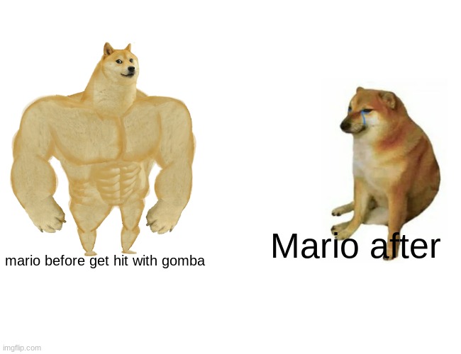Mario | Mario after; mario before get hit with gomba | image tagged in memes,buff doge vs cheems | made w/ Imgflip meme maker