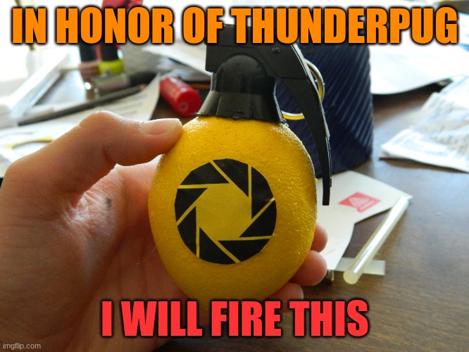 he was my favorite user hands down, and he shall be remembered in bossfights history | IN HONOR OF THUNDERPUG; I WILL FIRE THIS | made w/ Imgflip meme maker
