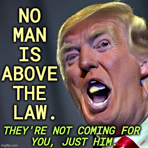 It's not political. It's the law. | NO 
MAN 
IS 
ABOVE 
THE 
LAW. THEY'RE NOT COMING FOR 

YOU, JUST HIM. | image tagged in trump,illegal,criminal,law | made w/ Imgflip meme maker