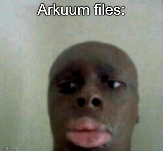 Some of the main things (theres alot more but these are the most important) | Arkuum files: | image tagged in aftermath,the beginning,theories | made w/ Imgflip meme maker