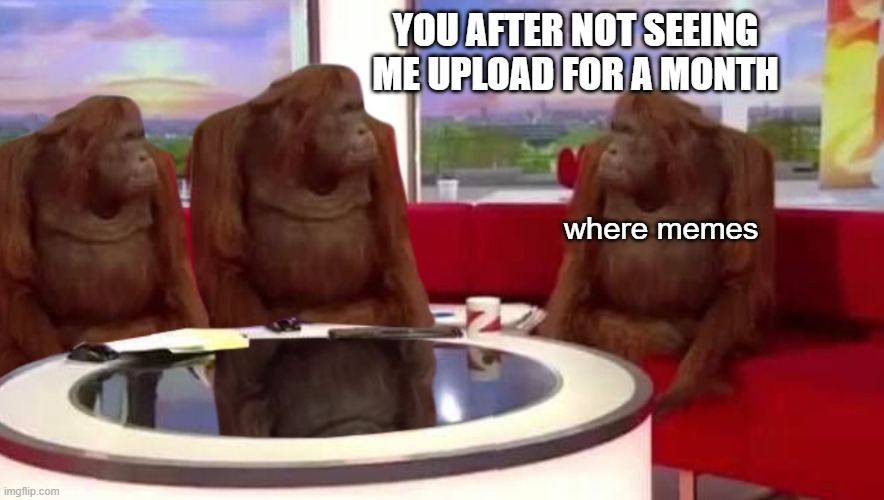 sorry guys. my account was glitching. | YOU AFTER NOT SEEING ME UPLOAD FOR A MONTH; where memes | image tagged in where monkey,memes | made w/ Imgflip meme maker