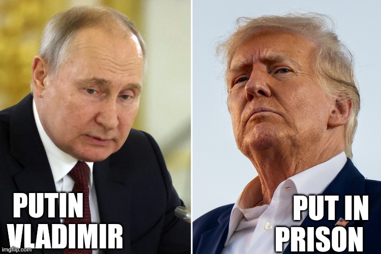 Dump Trump | PUT IN
PRISON; PUTIN
VLADIMIR | image tagged in dump trump | made w/ Imgflip meme maker