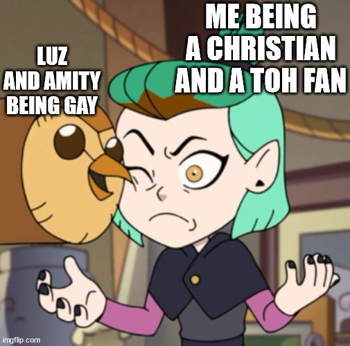 FOR REAL | ME BEING A CHRISTIAN AND A TOH FAN; LUZ AND AMITY BEING GAY | image tagged in hooty in amity's space the owl house | made w/ Imgflip meme maker