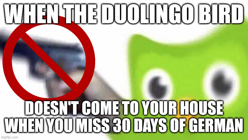 ich bin lucky | WHEN THE DUOLINGO BIRD; DOESN'T COME TO YOUR HOUSE WHEN YOU MISS 30 DAYS OF GERMAN | image tagged in duolingo gun | made w/ Imgflip meme maker
