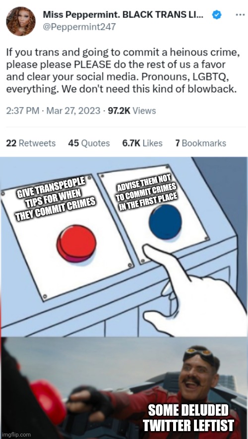 After the Nashville school shooting some deluded twitter leftist gave transpeople tips on committing crimes | ADVISE THEM NOT TO COMMIT CRIMES IN THE FIRST PLACE; GIVE TRANSPEOPLE TIPS FOR WHEN THEY COMMIT CRIMES; SOME DELUDED TWITTER LEFTIST | image tagged in robotnik pressing red button,twitter,lgbtq,liberal logic,stupid liberals | made w/ Imgflip meme maker