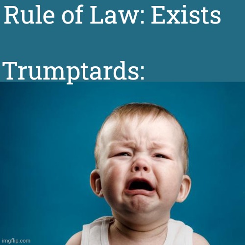 It's good to see law and order returning to America | Rule of Law: Exists; Trumptards: | image tagged in baby crying,maga,trump,idiots,scumbag republicans | made w/ Imgflip meme maker