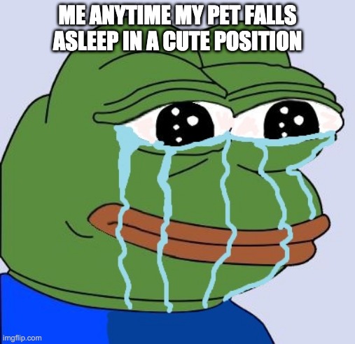 AWW | ME ANYTIME MY PET FALLS ASLEEP IN A CUTE POSITION | image tagged in pepe happy crying,pet,animals,cute,happy,sleeping shaq | made w/ Imgflip meme maker