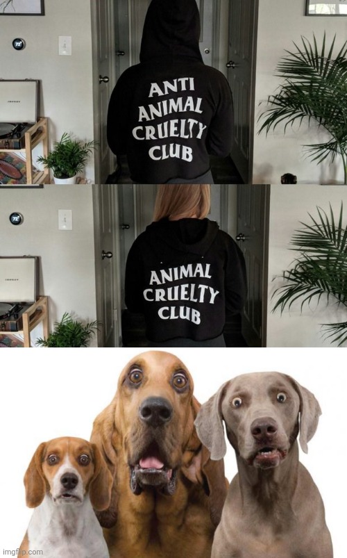 Anti-animal cruelty club | image tagged in dogs surprised,you had one job,hoodie,memes,reposts,repost | made w/ Imgflip meme maker