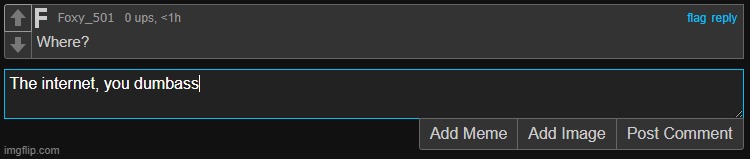made w/ Imgflip meme maker