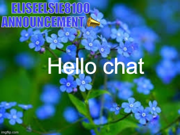 EliseElsie8100 Announcement | Hello chat | image tagged in eliseelsie8100 announcement | made w/ Imgflip meme maker