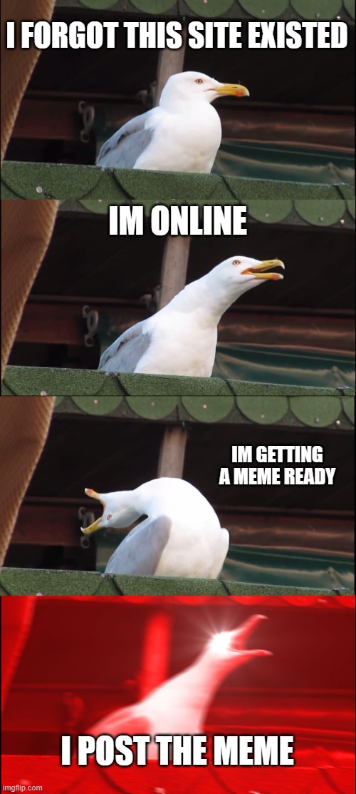 Inhaling Seagull | I FORGOT THIS SITE EXISTED; IM ONLINE; IM GETTING A MEME READY; I POST THE MEME | image tagged in memes,inhaling seagull | made w/ Imgflip meme maker