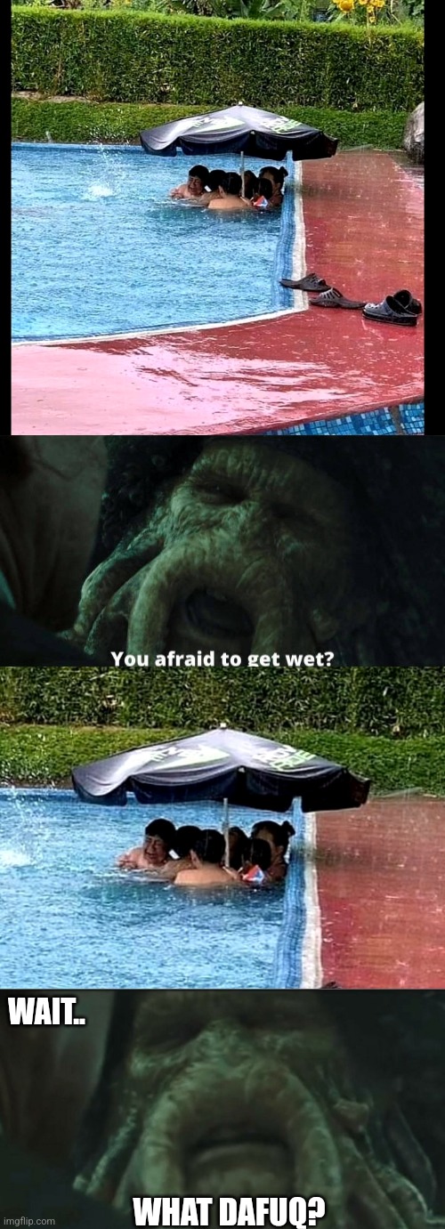 IDIOTS | WAIT.. WHAT DAFUQ? | image tagged in afraid to get wet,pirates of the caribbean,idiots,stupid people | made w/ Imgflip meme maker
