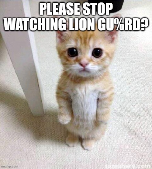 Cute Cat Meme | PLEASE STOP WATCHING LION GU%RD? | image tagged in memes,cute cat | made w/ Imgflip meme maker