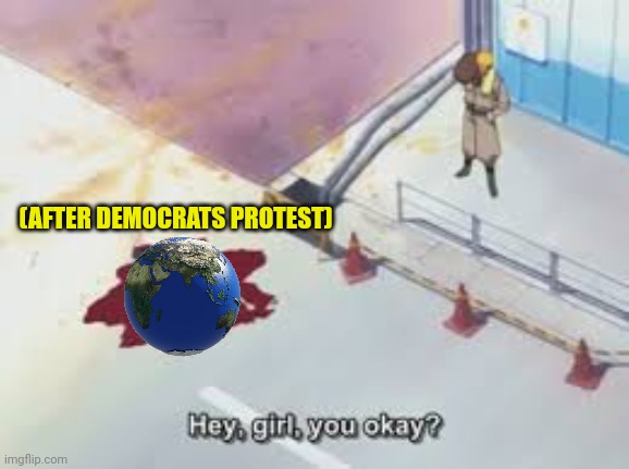 (AFTER DEMOCRATS PROTEST) | made w/ Imgflip meme maker