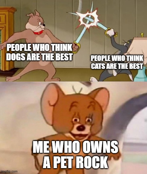 Tom and Jerry swordfight | PEOPLE WHO THINK DOGS ARE THE BEST; PEOPLE WHO THINK CATS ARE THE BEST; ME WHO OWNS A PET ROCK | image tagged in tom and jerry swordfight | made w/ Imgflip meme maker