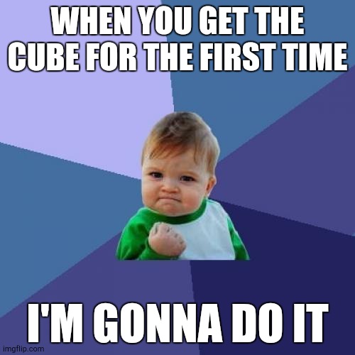 Rubik's cube meme | WHEN YOU GET THE CUBE FOR THE FIRST TIME; I'M GONNA DO IT | image tagged in memes,success kid | made w/ Imgflip meme maker