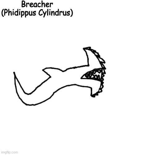 first worm discovered in the dry ocean | Breacher
(Phidippus Cylindrus) | made w/ Imgflip meme maker
