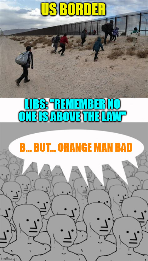 "No one is above the law"... except illegal aliens... the Biden crime family... other democRATS... | US BORDER; LIBS: "REMEMBER NO ONE IS ABOVE THE LAW"; B... BUT... ORANGE MAN BAD | image tagged in npcprogramscreed | made w/ Imgflip meme maker