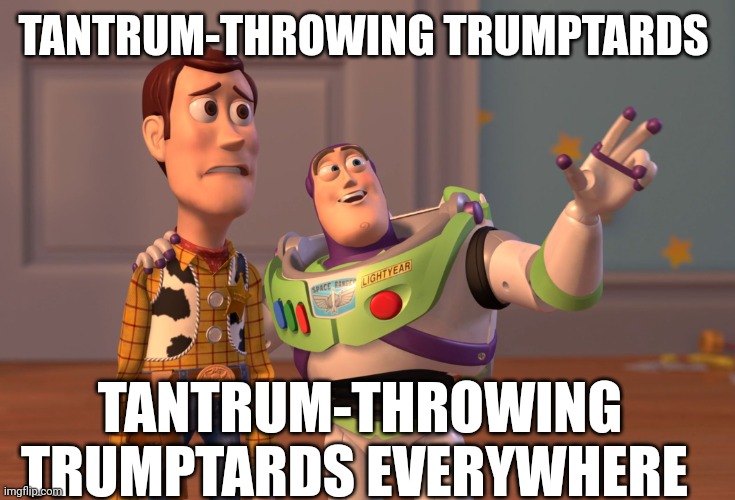 They seem pretty triggered | TANTRUM-THROWING TRUMPTARDS; TANTRUM-THROWING TRUMPTARDS EVERYWHERE | image tagged in memes,x x everywhere | made w/ Imgflip meme maker