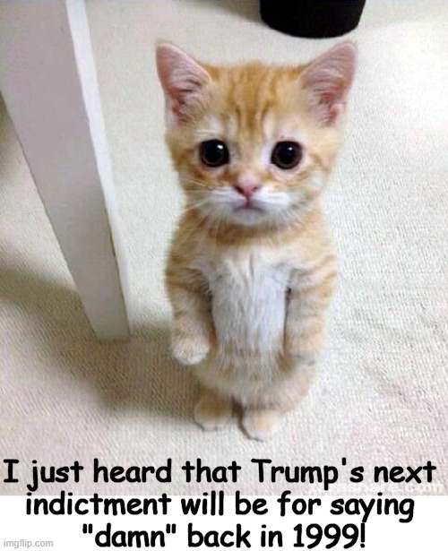 Political Insanity! | I just heard that Trump's next 
indictment will be for saying 
"damn" back in 1999! | image tagged in politics,donald trump,even cats know,political humor,insanity,democrats | made w/ Imgflip meme maker