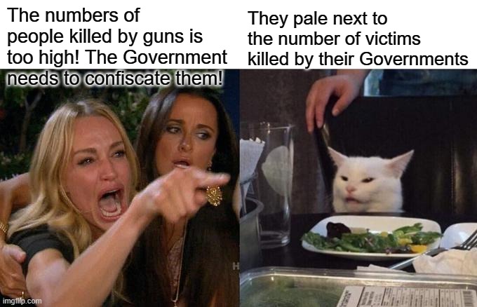 Woman Yelling At Cat Meme | The numbers of people killed by guns is too high! The Government needs to confiscate them! They pale next to the number of victims killed by their Governments | image tagged in memes,woman yelling at cat | made w/ Imgflip meme maker