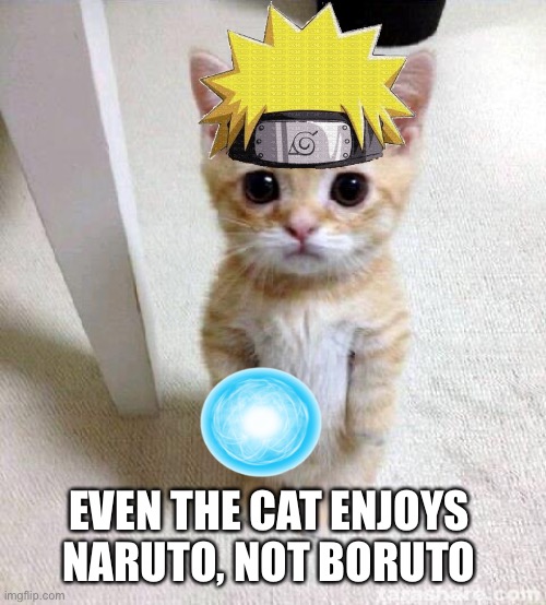 Definitely NOT Boruto | EVEN THE CAT ENJOYS NARUTO, NOT BORUTO | image tagged in naruto joke,naruto,boruto,anime meme | made w/ Imgflip meme maker