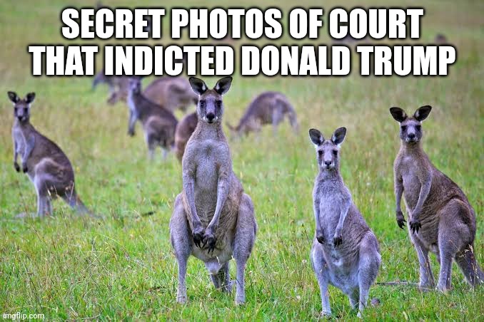 Kangaroo Court | SECRET PHOTOS OF COURT THAT INDICTED DONALD TRUMP | image tagged in memes,donald trump | made w/ Imgflip meme maker