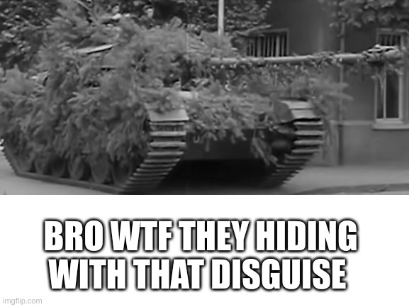 watching a video for class and found this picture so i decided to make a really bad meme about it | BRO WTF THEY HIDING WITH THAT DISGUISE | image tagged in ww2,hide and seek | made w/ Imgflip meme maker