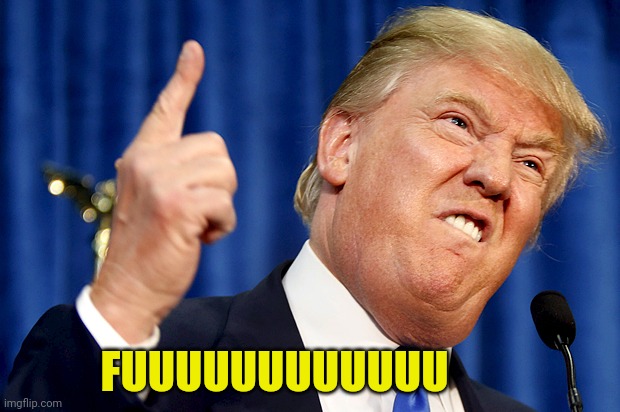 Donald Trump | FUUUUUUUUUUUU | image tagged in donald trump | made w/ Imgflip meme maker